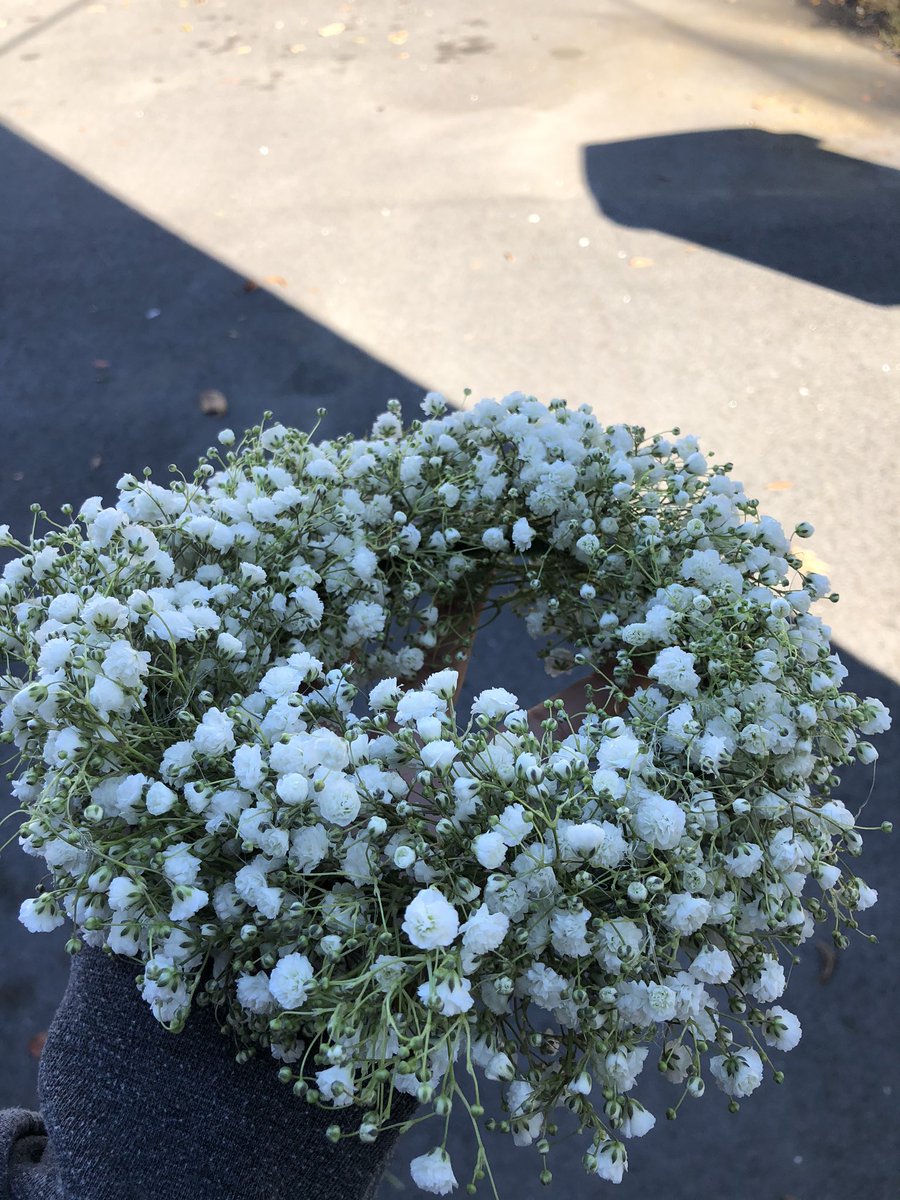 Chelish Moore Flowers 💐 tweet media