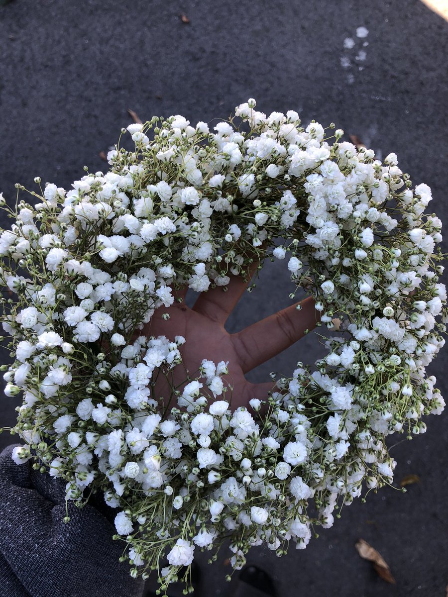 Chelish Moore Flowers 💐 tweet media
