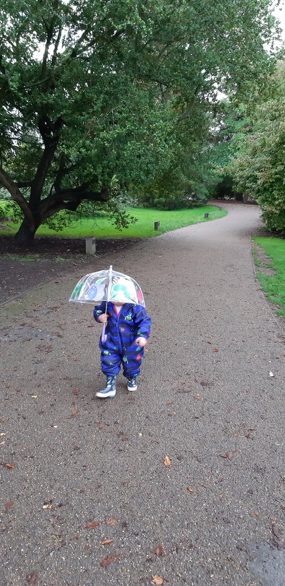 A lovely rainy walk around @Wakehurst_Place this afternoon was exactly what I needed 🍂🍁🦆
#caibaby #bestofsussex #toddlerfriendly #whatsoninsussex #wherescai 👀