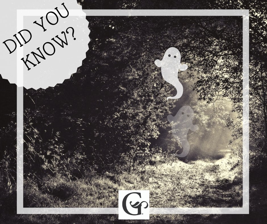 MHorebGrandStay's tweet photo. DID YOU KNOW, each year the Mount Horeb Rec Department transforms the Military Ridge State Trail into a spooky kids event called The Creepy Crawl! Come check it out! There is a less-scary version for younger kids and more-scary version for us older kids! 🕷😱 https://t.co/cjtHDLCrVy