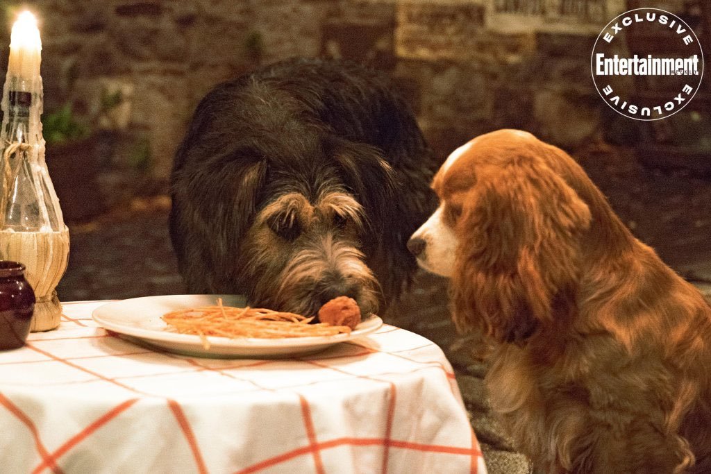 Nouvelle image via @EW, pour le live-action #LaBelleEtLeClochard de Charlie Bean ! #LadyAndTheTramp