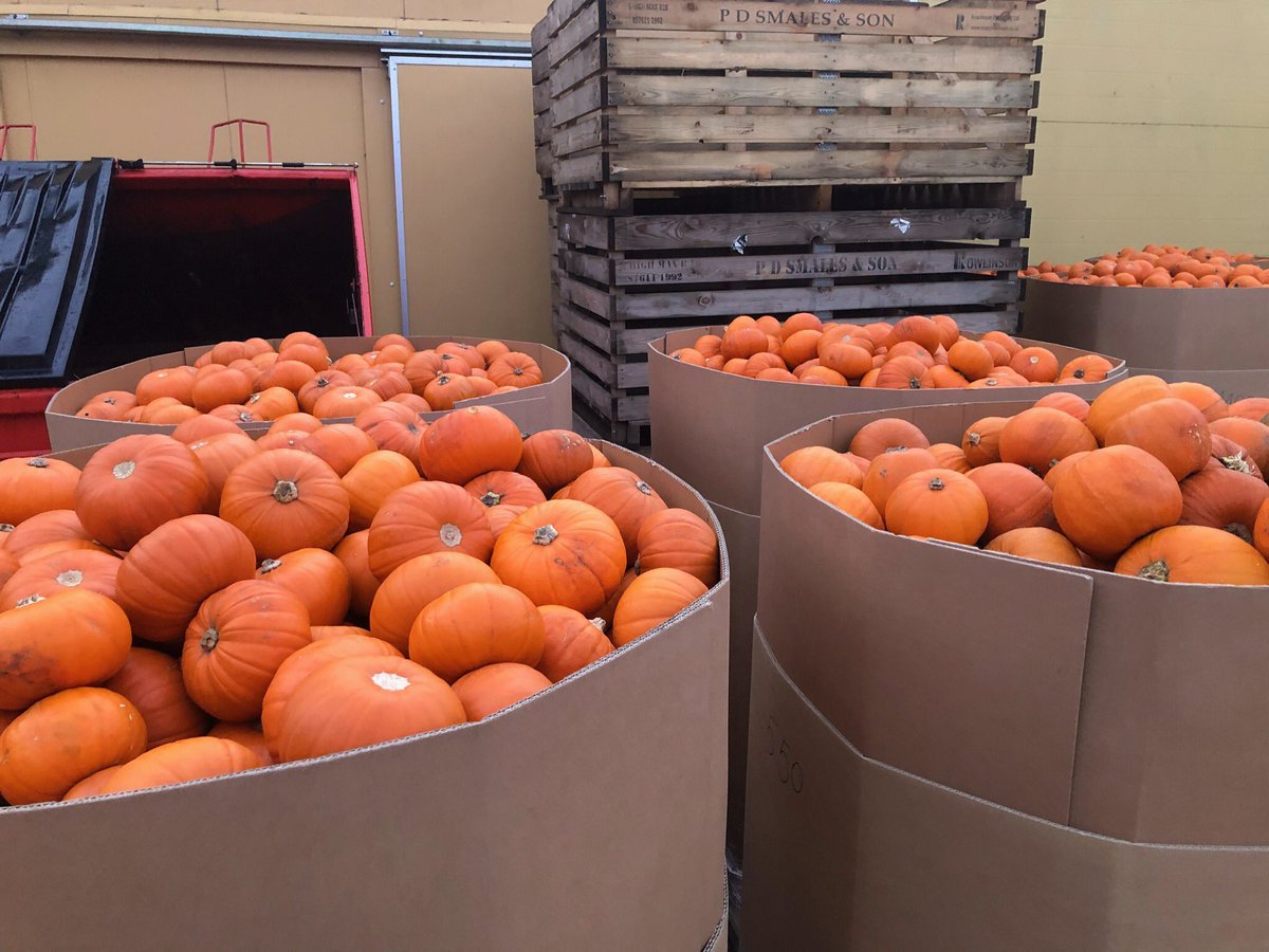 LyburnCheese's tweet photo. Thousands of #pumpkin moving today, traveling all over the Uk.
Need some dry weather. https://t.co/5DTZh4VeVi