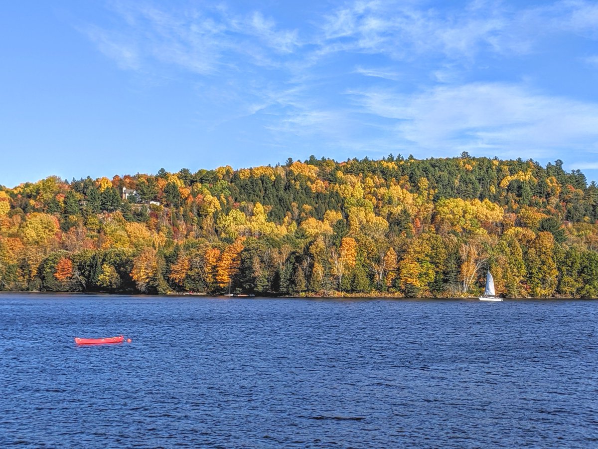 cafelehibou's tweet photo. WHAT'S ON this beautiful fall🍂🍁🎶weekend in Wakefield Qc, Oct 17-20, 2019
Click here for full listing: https://t.co/D58TPpwulV
#whatson #wakefieldqc #livemusic #whattodothisweekend #ottawadaytrip #ottawamusic #kaffe1870
@blacksheep_inn
@MonPetitChum
@lestroiserables https://t.co/GgdNcRbE7G