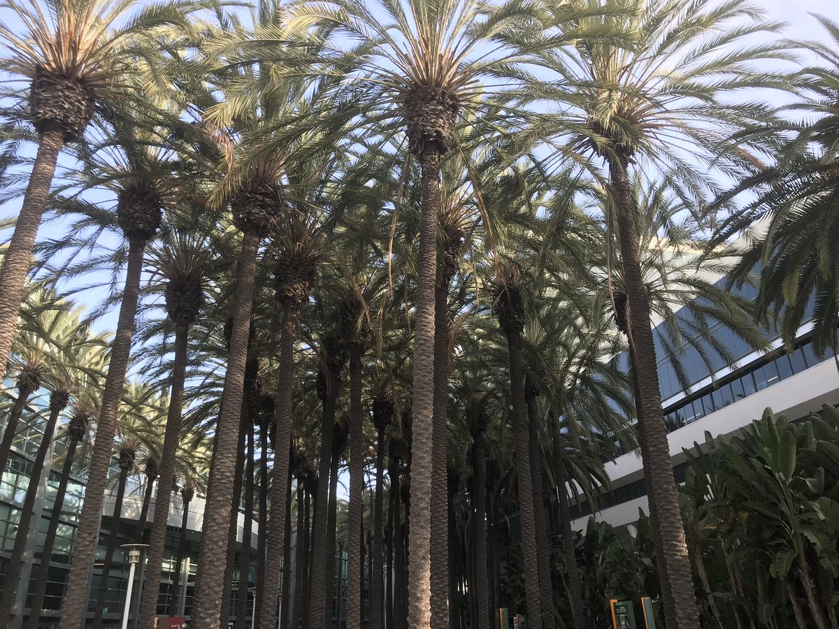 GFHuis's tweet photo. Almost ready for the @pma Fresh Summit. The Holland pavilion with Dutch companies is inviting you. Booth 2937 https://t.co/32q43maY7b