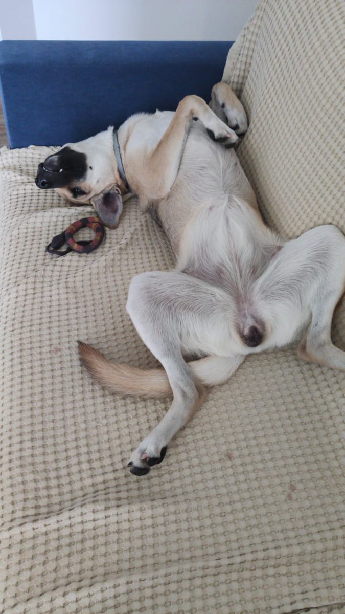 Kaxa Gegidze (@kgegidze) on Twitter photo 