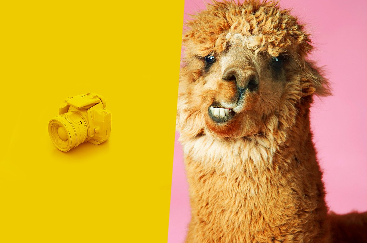 Epsilondatamktg's tweet photo. [CONCOURS] La cérémonie SOFOTO 2019 est ouverte ! La tension monte auprès des nominés. Nous sommes impatients de découvrir les lauréats photos 2019.
#révélateurdetalent #datacreative #NousSommesEpsilon https://t.co/pX4M7jfK4Z