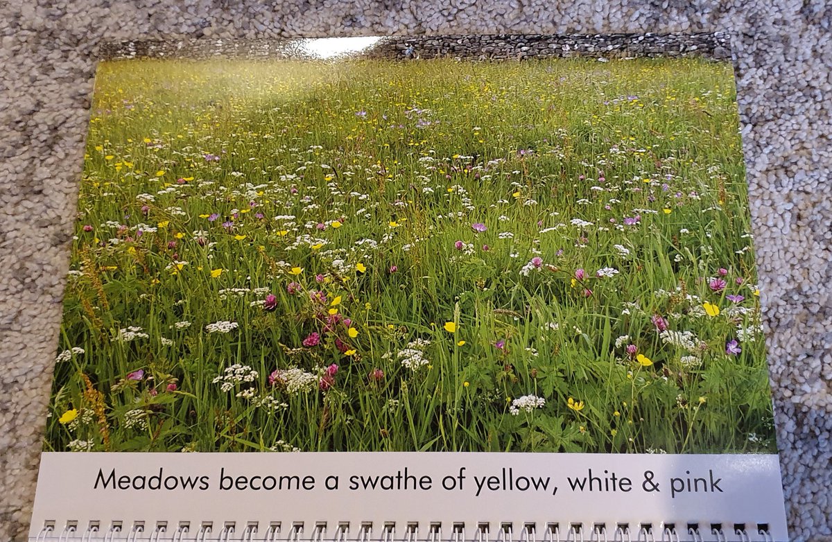 WildLakeland's tweet photo. Here's a first peek at my "A year in the life in a hay meadow" 2020 calendar. To celebrate,  i am giving away the first one for free. For a chance to win, RETWEET this post and make sure to FOLLOW @WildLakeland. A winner will be selected at random 8pm this Sunday. https://t.co/opdKThI0SA