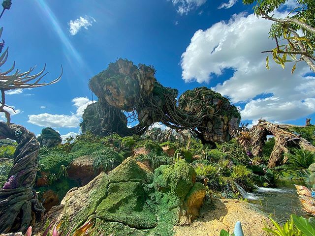 mrdaps's tweet photo. I absolutely love visiting Pandora! It is such a beautiful land! •••
#waltdisneyworld #wdw #pandora #avatar #disneysanimalkingdom #dak #floatingmountains #iphone11pro #disneyphoto #disneyphotography #dapstravels #wdw_igers #disneyblogger #disneyworld… https://t.co/MUJbxz2WJ0 https://t.co/yChSlg0c0L