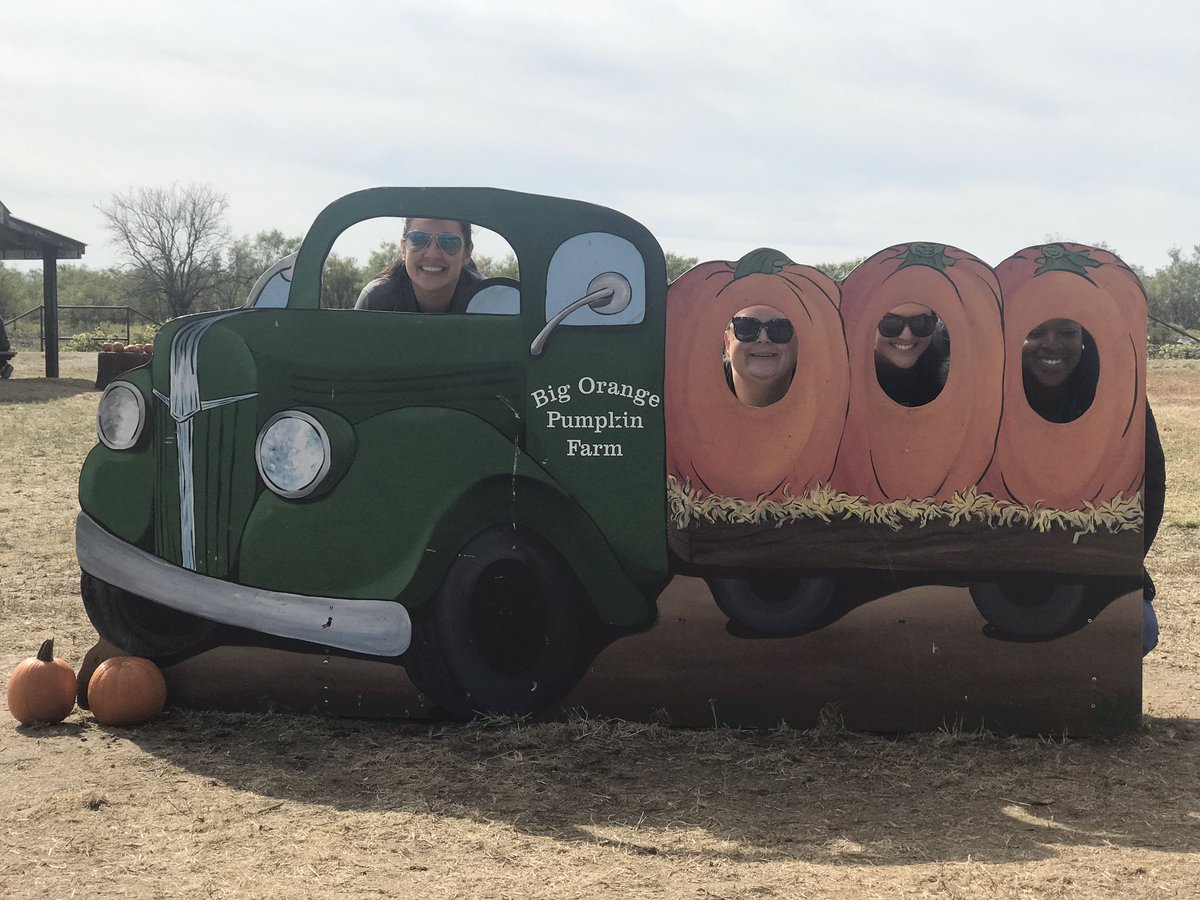 KerryRear's tweet image. The Pumpkin Patch #kindervibes @DawnMcMillan77 @WeinkeLara @MsJenkins_class #2019 ☀️ 🐄 🐐