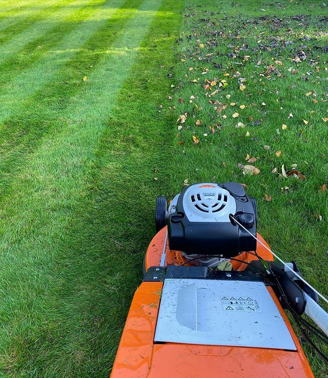 gregsmowing's tweet photo. Wet grass and leaves means the Stihl is out again. Full box every time and a nice stripe. Not the perfect mower though. Yet. #Stihl #mower #box #notbag #lawnmowing #progardenersuk https://t.co/jRUrmwZzfl https://t.co/rd9BFZ9DIa