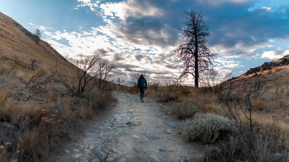 StateWaTourism's tweet image. Hiking the Butte in Chelan. #fallviews #experienceWA @visitlakechelan 

PC: @cascadeloop