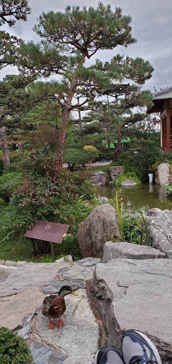 IrvindG's tweet image. Unwinding in beautiful Monaco, after the conclusion of a productive @onsemi sales conference. Our focus is on bringing the best Solutions to our partners.  Sandwiches never tasted this good &amp;amp; the crusts made a new friend! #NoConnectivity #Sometimes #Is #Good #OtherTimes #ThinkON