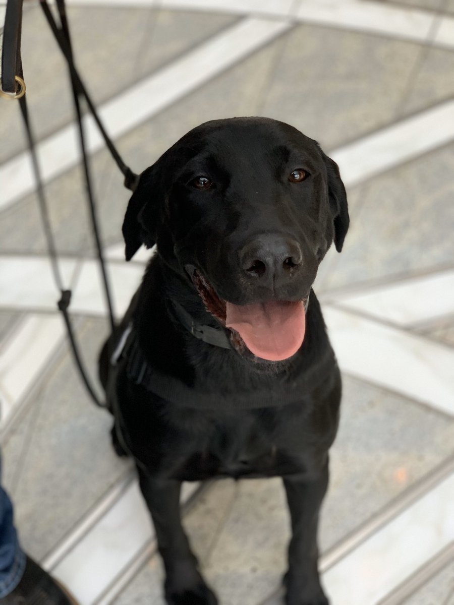 Thank you so much to <a href="/DevonEnergy/">Devon Energy</a> for sponsoring Pepper! The Passing of the Leash today from #GroundZero to Lt Jeff Hanlon with <a href="/okcfire/">Kevin</a> &amp; #Oklahoma #TaskForce 1 was so special. Hardly a dry eye in the house. This is our 32nd leash passing.  
<a href="/Barry_Switzer/">Barry Switzer</a>
