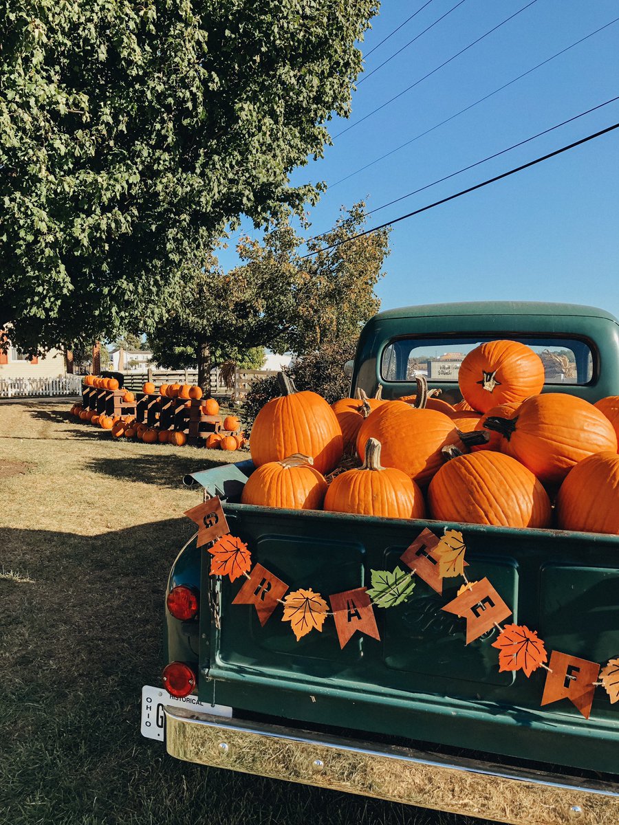 CDavis_xoxo's tweet photo. Fall colors 🧡 https://t.co/TNGVTgIP7u