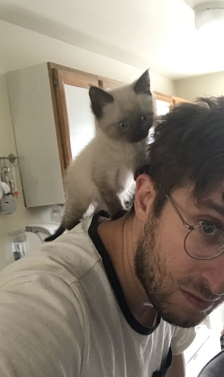 MervThePet's tweet photo. gana TAk my hors 2 th old pam roaad gona riiiiide til i cantNo maam https://t.co/8GsSipl2Wp