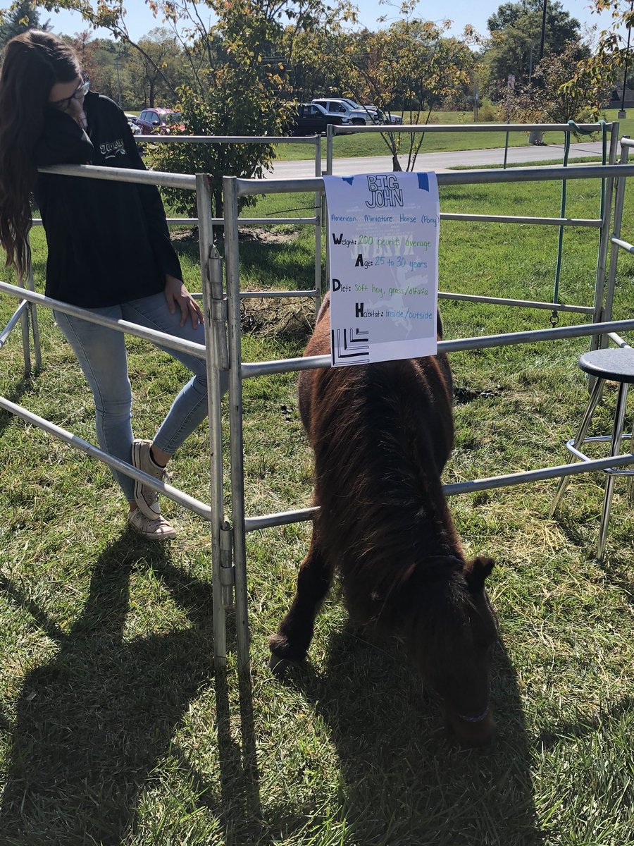 Come check out the Ag Day festivities!! See some farm animals and learn about agriculture. <a href="/FFAColumbia/">Columbia FFA</a>
