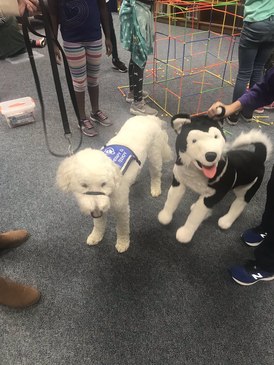 LibraryHuskyDen tweet media