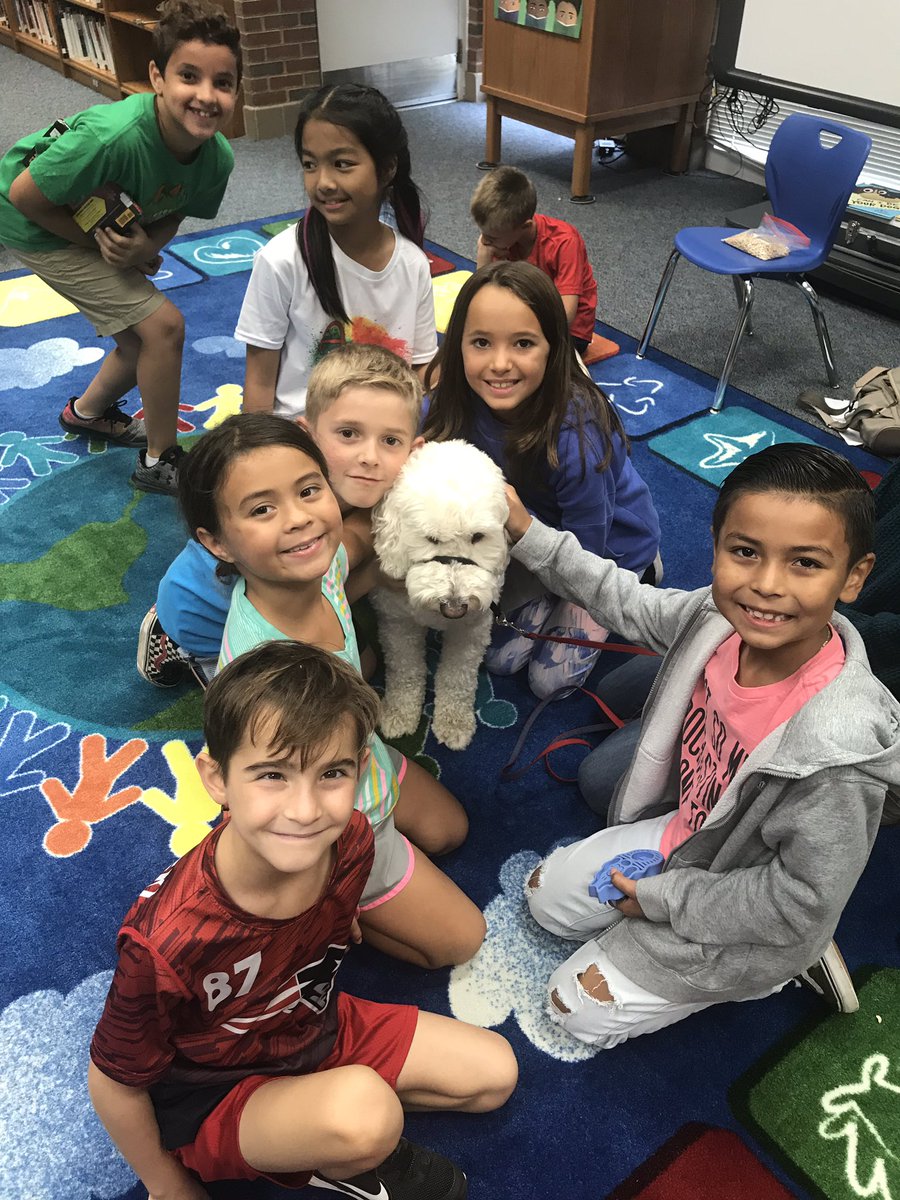 LibraryHuskyDen tweet media