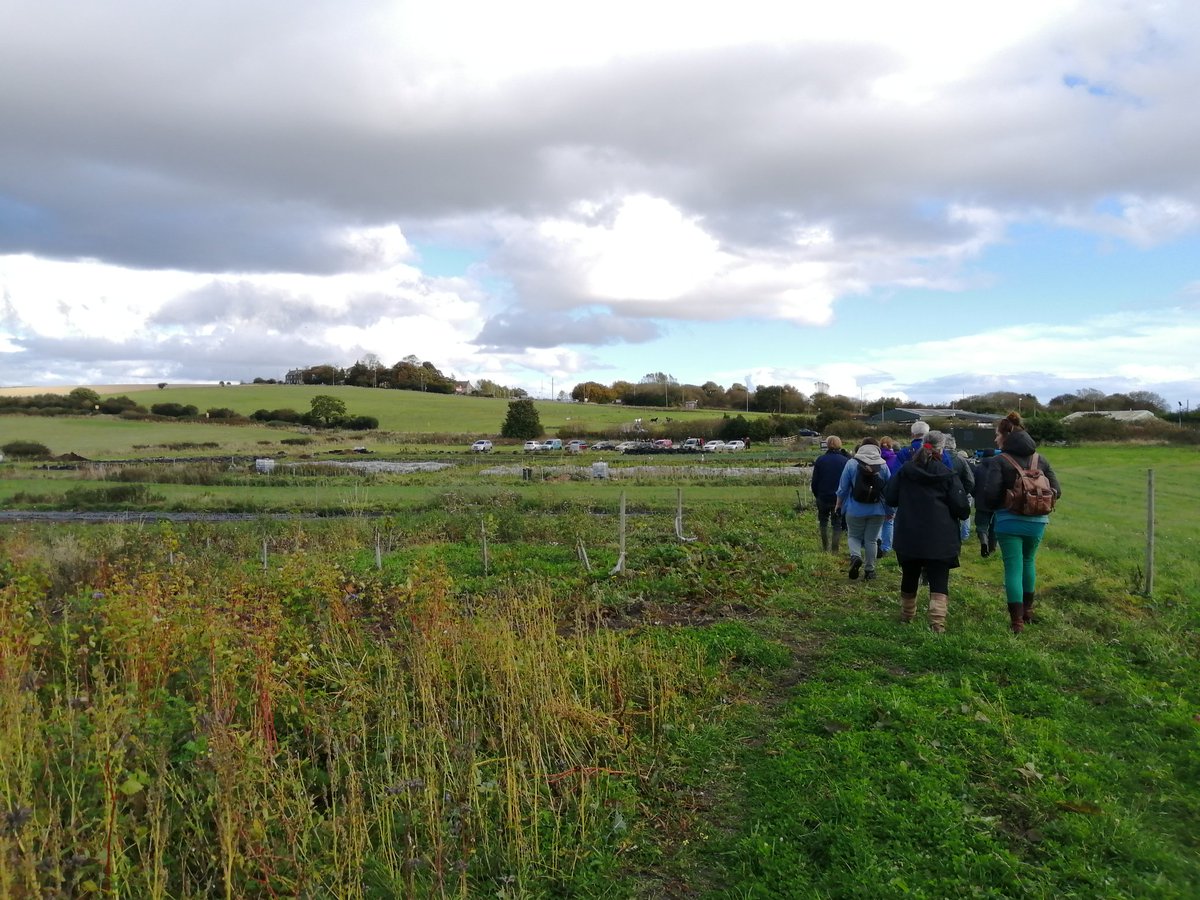 Jacob Rowe tweet media