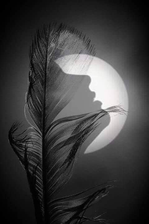 Neel1Neel's tweet photo. ALL SPARE
MELODIES
CONSTRUED OF PROXIMATE 

AS 
SHELL OF BLUGEONS 
TO MENANCE 

COARSE 
OF
QUIESECENT 
IN THE DRAB.
#amwriting 
#amwritingfiction
#WritingCommunity 
#Writerspost 
#NotJONES 
#WritingRiver
#SHE
#Madverse https://t.co/kkNOZCI7xf