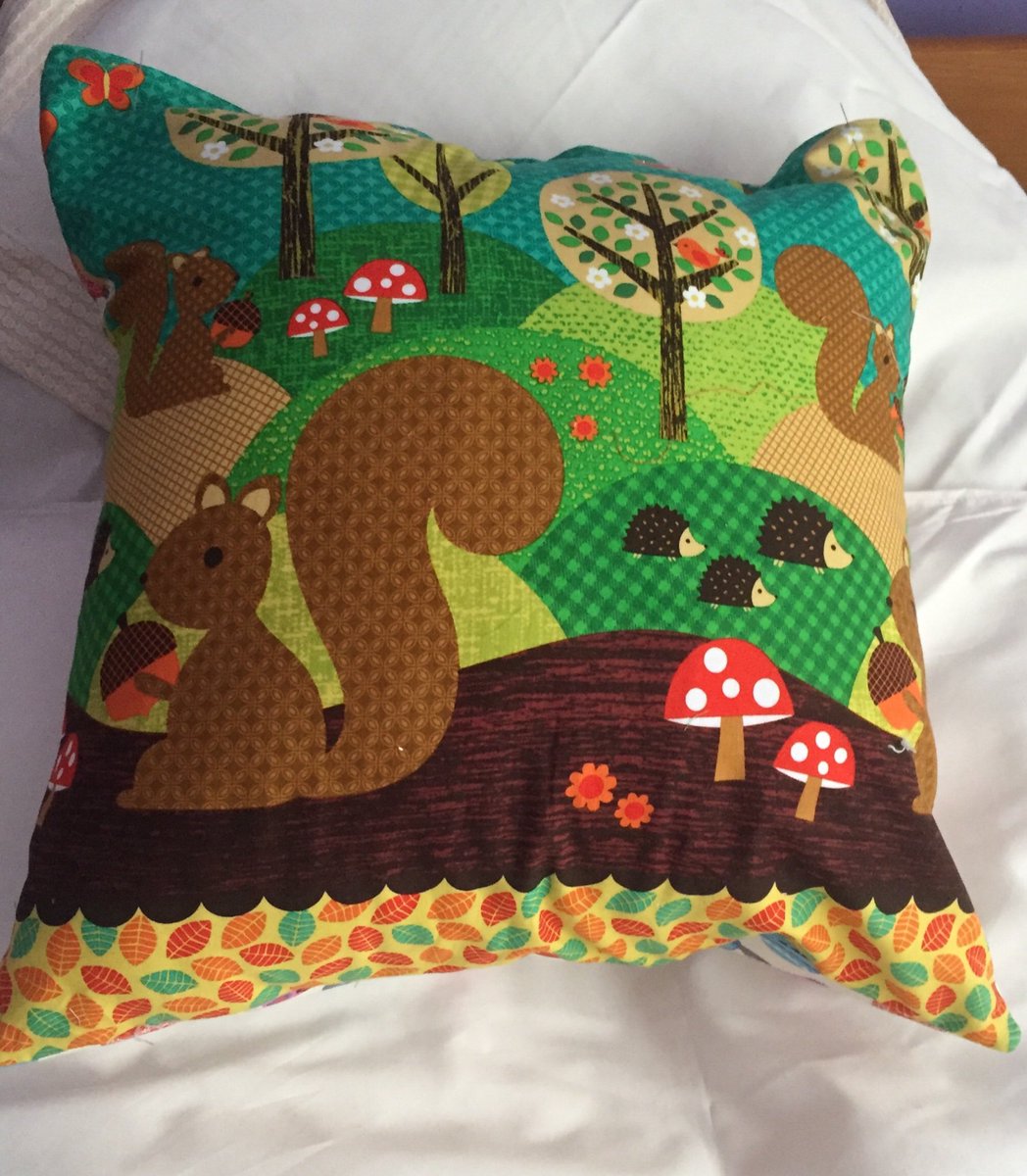 BGariad's tweet photo. https://t.co/uEasEQZ6Gh
Made this cute cushion book pillow today. It’s actually a Christmas gift for my friends little boy I’ll put books in it off course 
#christmasgift #madewithlove #plasticfree #reuse #recycle #washablecover #bedtimecuddles #storytime https://t.co/hYJ27YNO8P