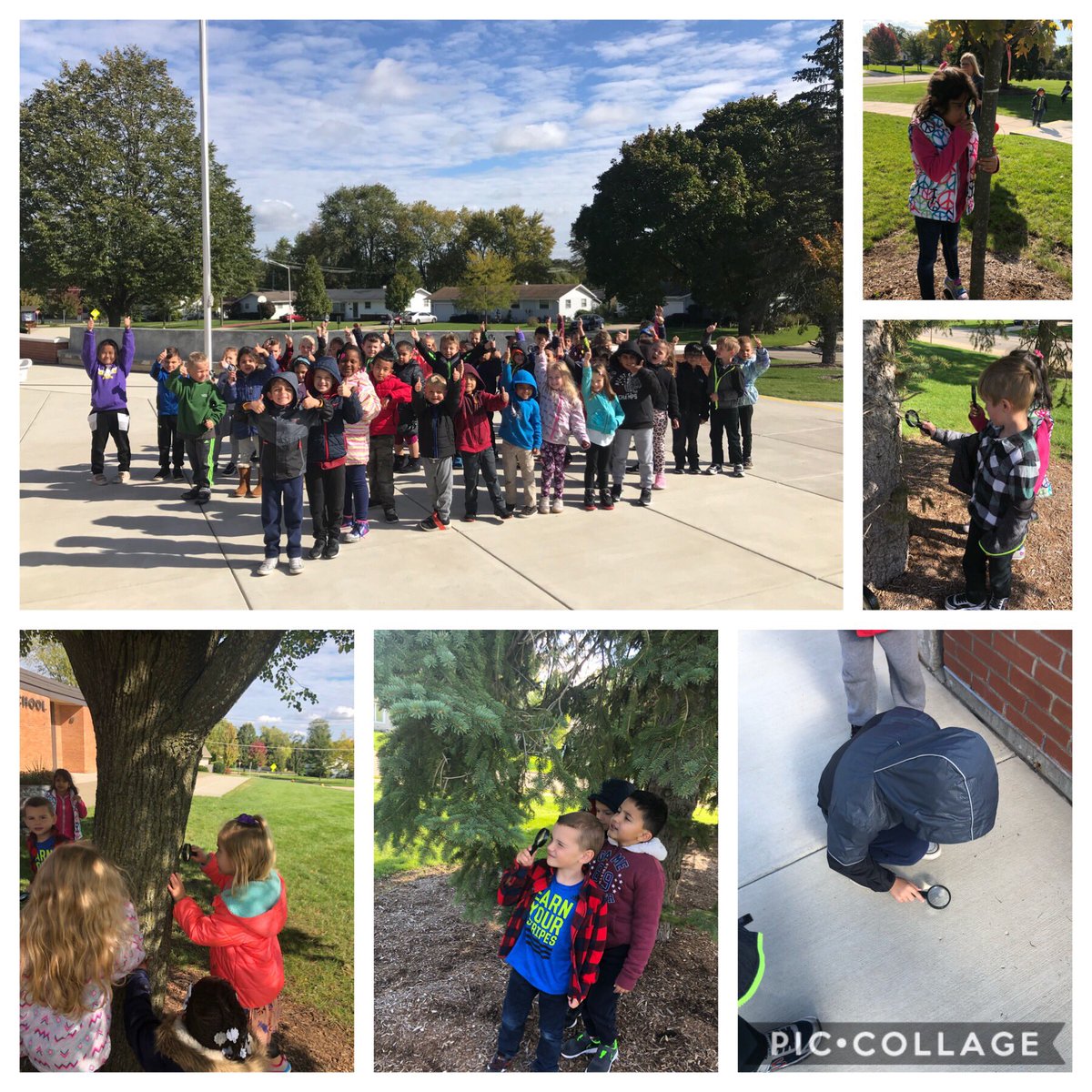 Kindergarten_CS's tweet image. K SS exploring nature.  #explorersweek #ccsd93 @CSPrincipalD93 @glamorteccsd93 @CheetahChamps