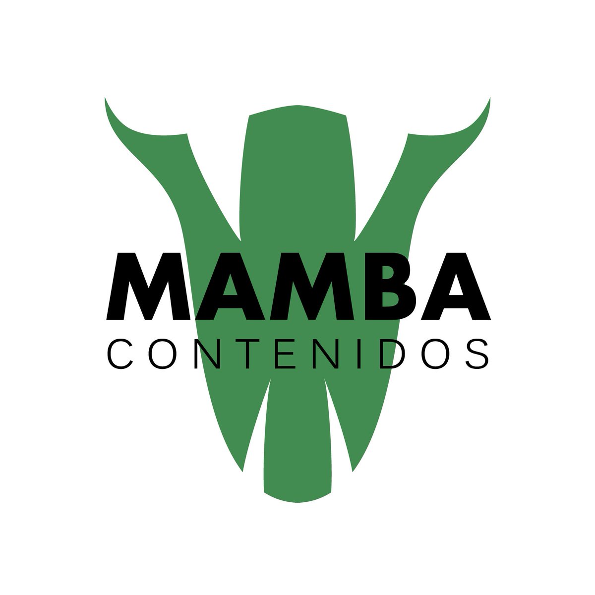 mambacontenidos's tweet photo. Mamba Contenidos 🐍 es una productora audiovisual 🎬 dedicada a la realización integral de contenido para redes, publicidad, institucionales, cobertura de eventos, books y fotografía de producto 📷 Si te interesa contactarnos podés hacerlo por MD o a mambacontenidos@gmail.com ✉ https://t.co/HZuuyjkuT0