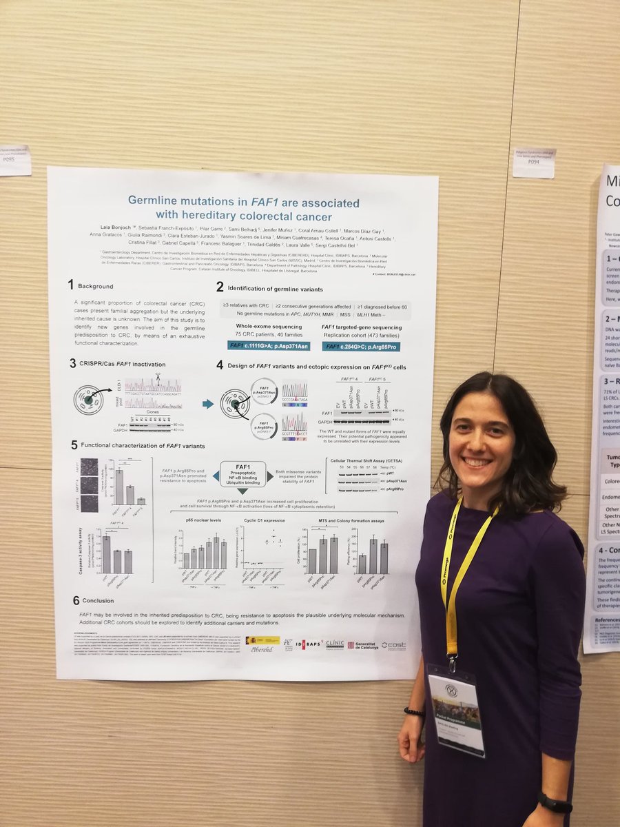Presenting our work at the #EHTG2019 (Poster 95)! Tomorrow it will be summarized at the Polyposis Syndromes session. #functionalgenomics #colorectalcancer