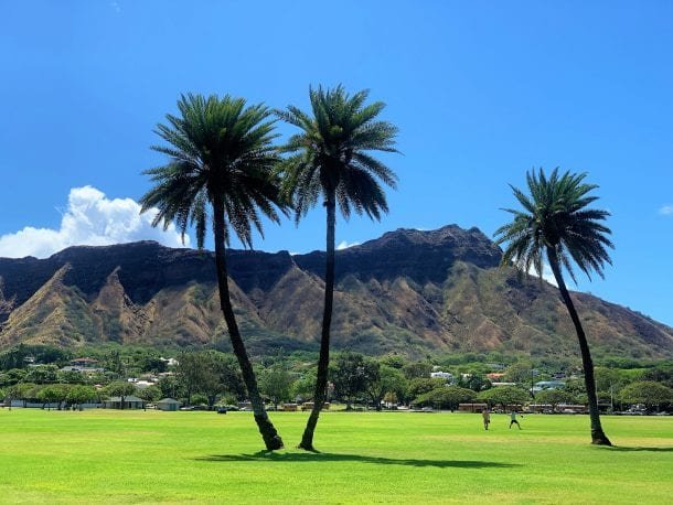 EatSleepCruise's tweet photo. A "grand circle tour" is perhaps the best way to see all of Oahu on a #cruise to #Hawaii!

There is no better tour provider than @RobertsHawaii. 

See why we loved our time with this top-rated company with our latest shore excursion review!

https://t.co/NrV5aHY2ZK

#Travel https://t.co/oda1hMrRUZ