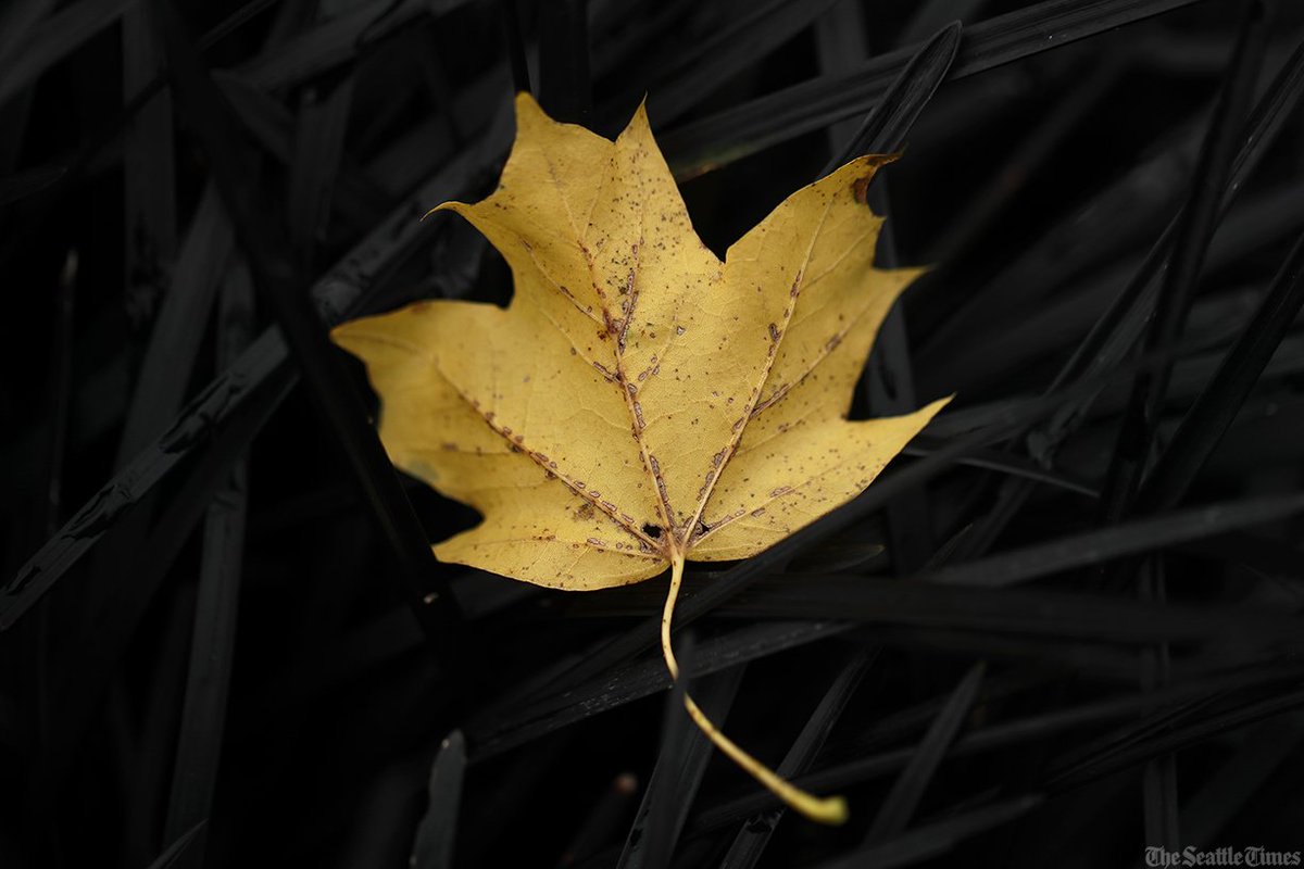 Erika J. Schultz tweet media