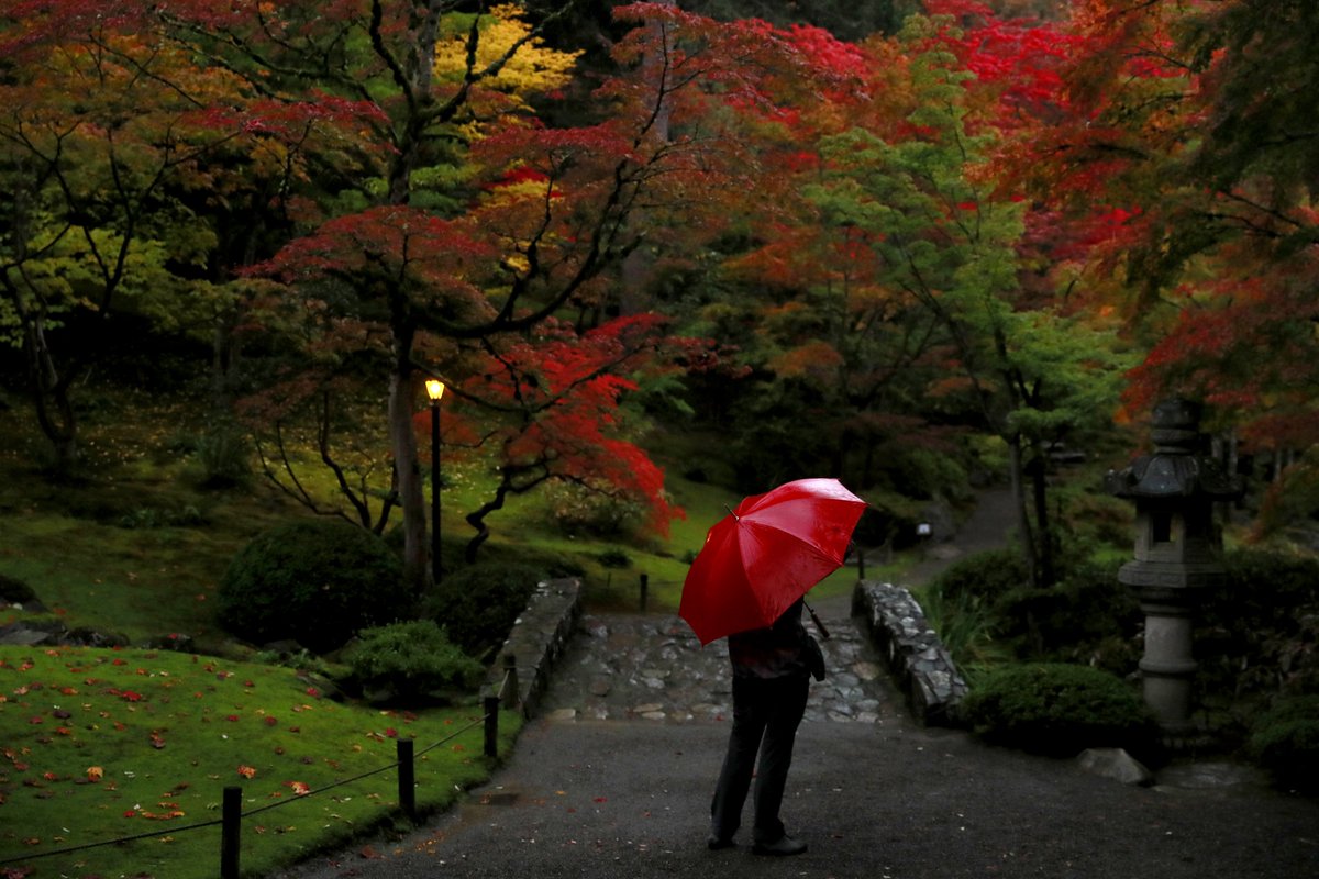 Erika J. Schultz tweet media