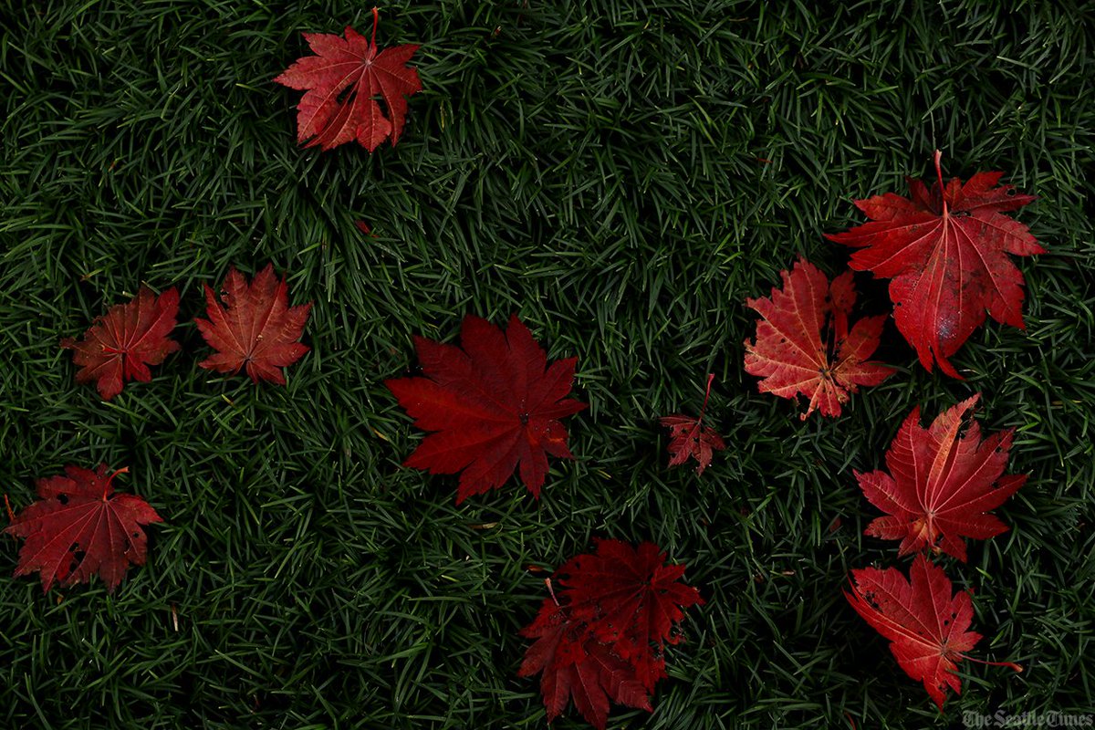 Erika J. Schultz tweet media