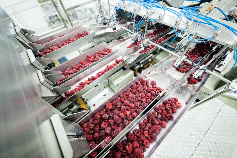 FoodPSCanada's tweet photo. Processing can take many different forms - in this case it's freezing! These raspberries are being frozen to keep them better, longer; making them the perfect addition to smoothies, deserts and more!
#PerfectlyProcessed #Fruit #Food #Healthy #ProcessedFood #ItsProcessed https://t.co/zOArrN3Dq7