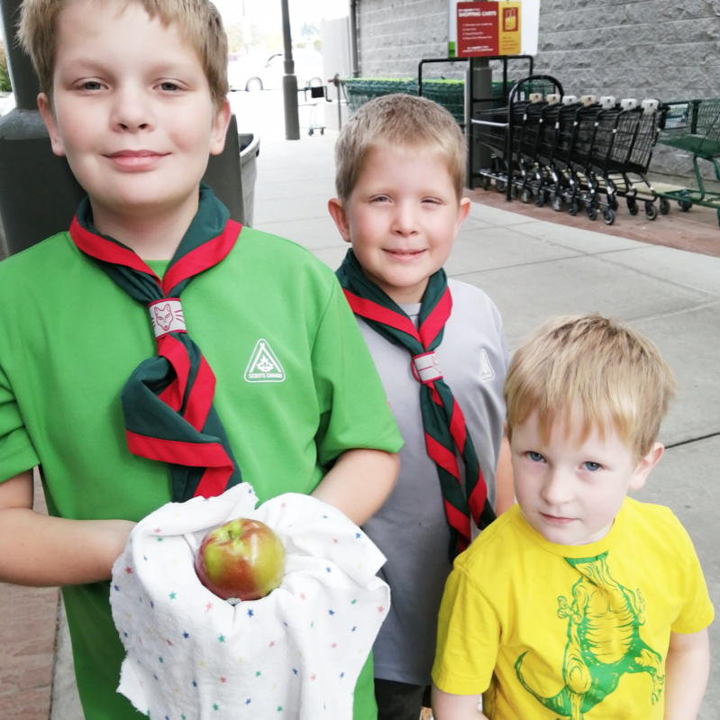 Scouts Canada tweet media