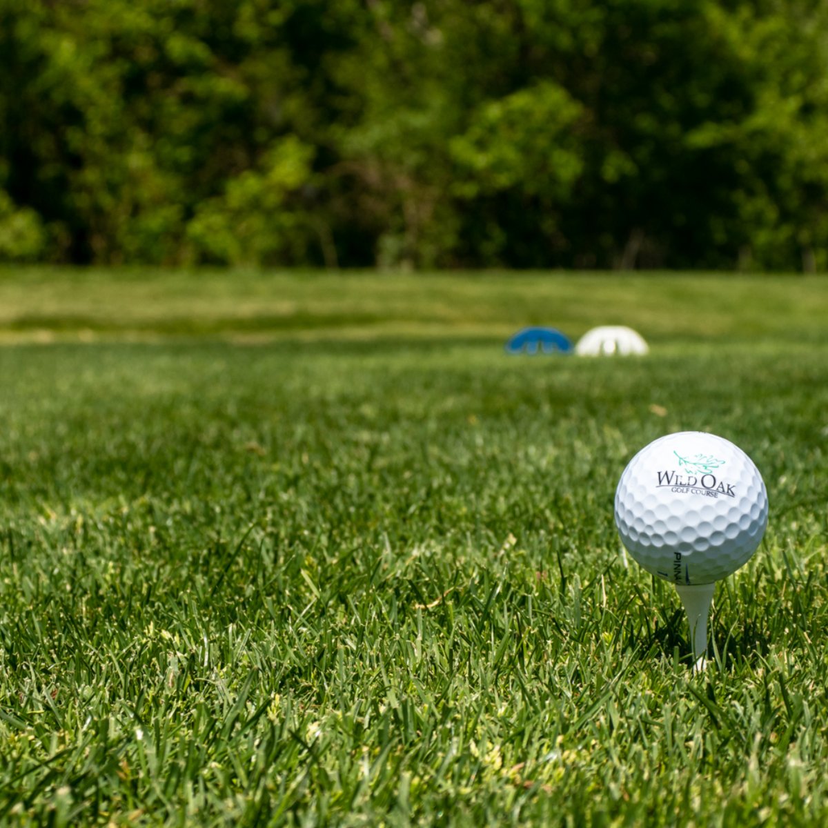 WildOakGolf's tweet photo. Tee up some of your best stories. https://t.co/pJyzS4LhWX https://t.co/xSIUEPCZtY