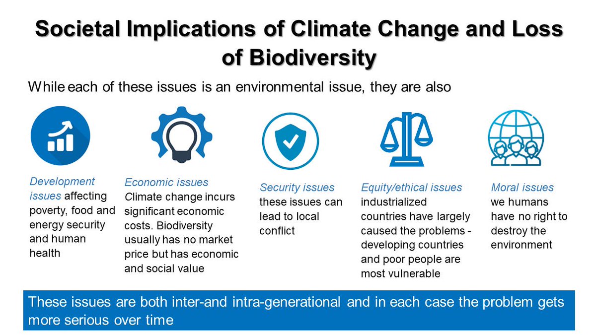 #Biodiversity is not just an issue for ecologists - it's an issue for every economist

#EcosystemServices like purifying water &amp; controlling #climate, pollution &amp; floods don’t have market value, but have huge social value

Bob Watson now at #InvestInNature
live.worldbank.org/invest-nature-…