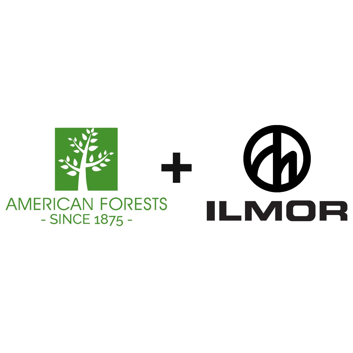 Ilmor Engineering tweet media