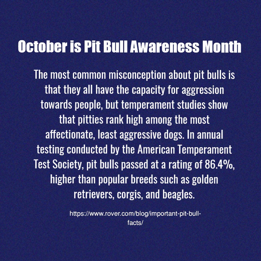 #pitbullawarenessmonth #pitlovers #pitties #pibbles #rescuedogs