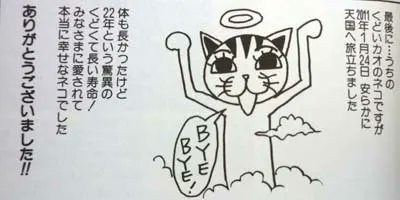 تويتر 海の鷹 リツィート いいね を いや本当にガチで制限中 絵の勉強中です على تويتر 衛藤ヒロユキ先生も大の猫好きだそうな 単行本一巻だっけ 巻末のオマケ漫画から出てたしな くどい顔の猫 病気持ちで売れ残ってた子を引き取るとか すごく優しいな