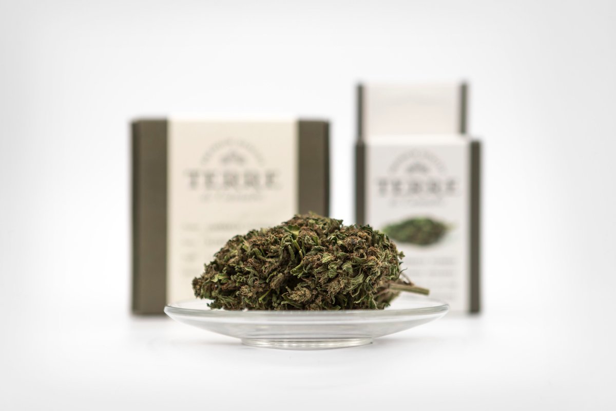 Who is your favourite #cannabis Licensed Producer?