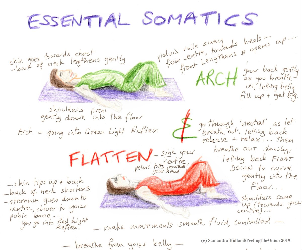 somaticsamantha's tweet photo. Part of my workshop handout from last week: it might help you remember ALL the elements of your entire soma involved when experiencing & attending gently to the #EssentialSomatics movement, 'Arch & Flatten'! π https://t.co/fGjKz2cKwP