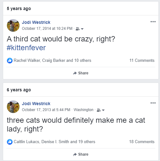 jodilyn's tweet photo. Laughing at this Facebook memory reminding me that I posted almost the exact same message one year apart. #catlady #cats #kittenfever https://t.co/X7QZIFUtsC