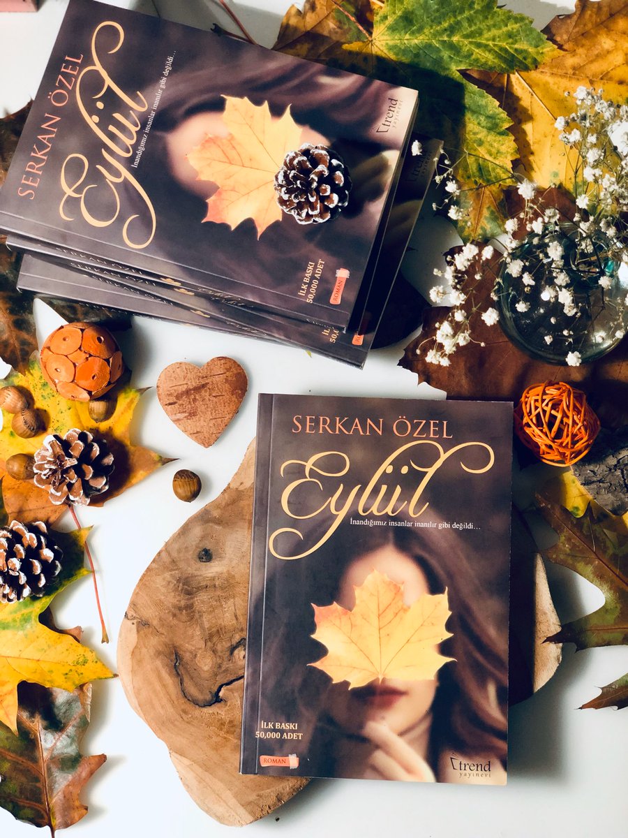 Serkan Özel tweet media