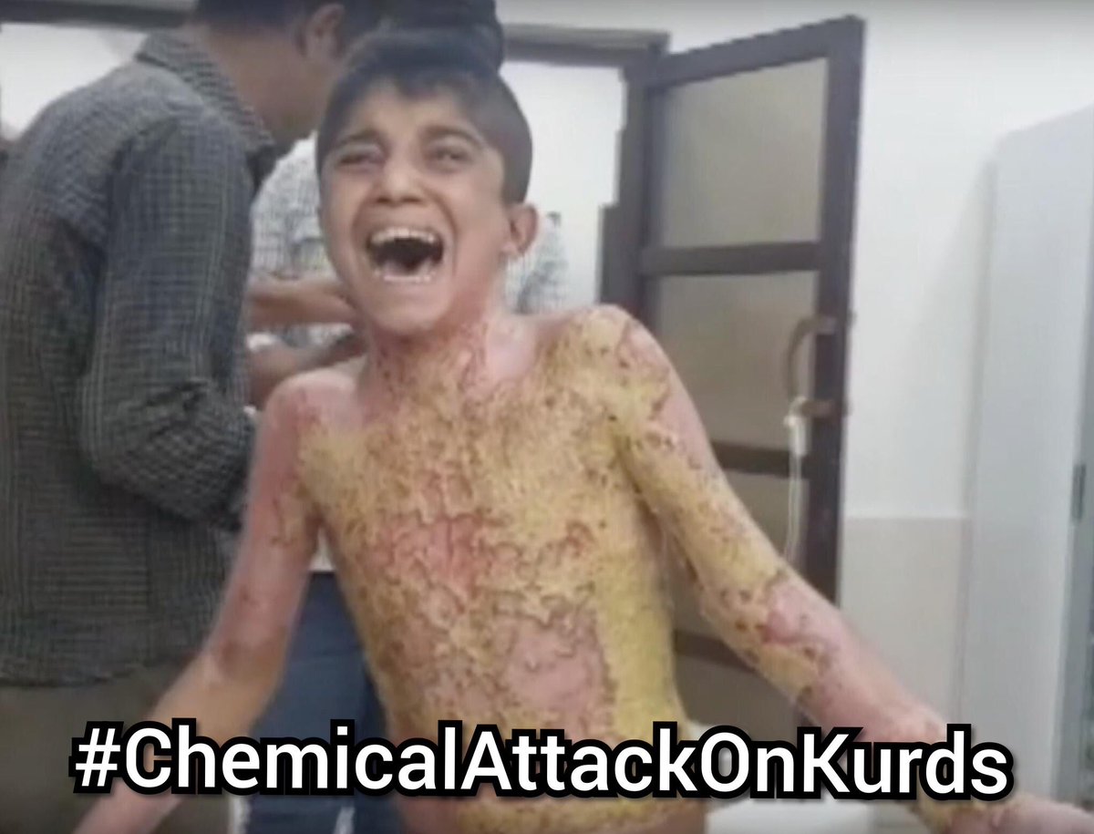 How many more Kurds must die, before the world intervenes?

#ChemicalAttackOnKurds