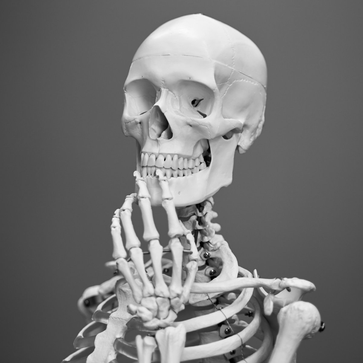 excessive neural activity might shorten your lifespan, it's always about the balance

time.com/5700721/neural…