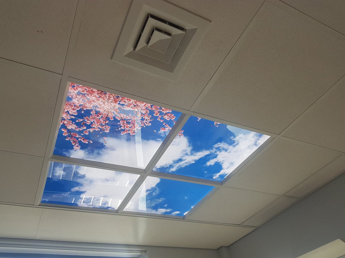 If anyone thinks #SwanRooms just happen <a href="/sathNHS/">SaTH</a> they don't, a huge amount of work goes into #MakingItHappen today we made it happen now 23 in total #amazing #TeamWork so proud #OneChance #FabChange19 #Ward22RE well done everyone who played a part 💖👏👏👏👏