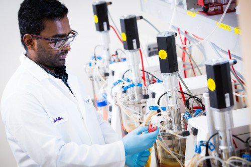 One of Cytovance’s core services is recombinant protein drug substance production derived from mammalian cell culture. Read more about it at hubs.ly/H0ljhQL0