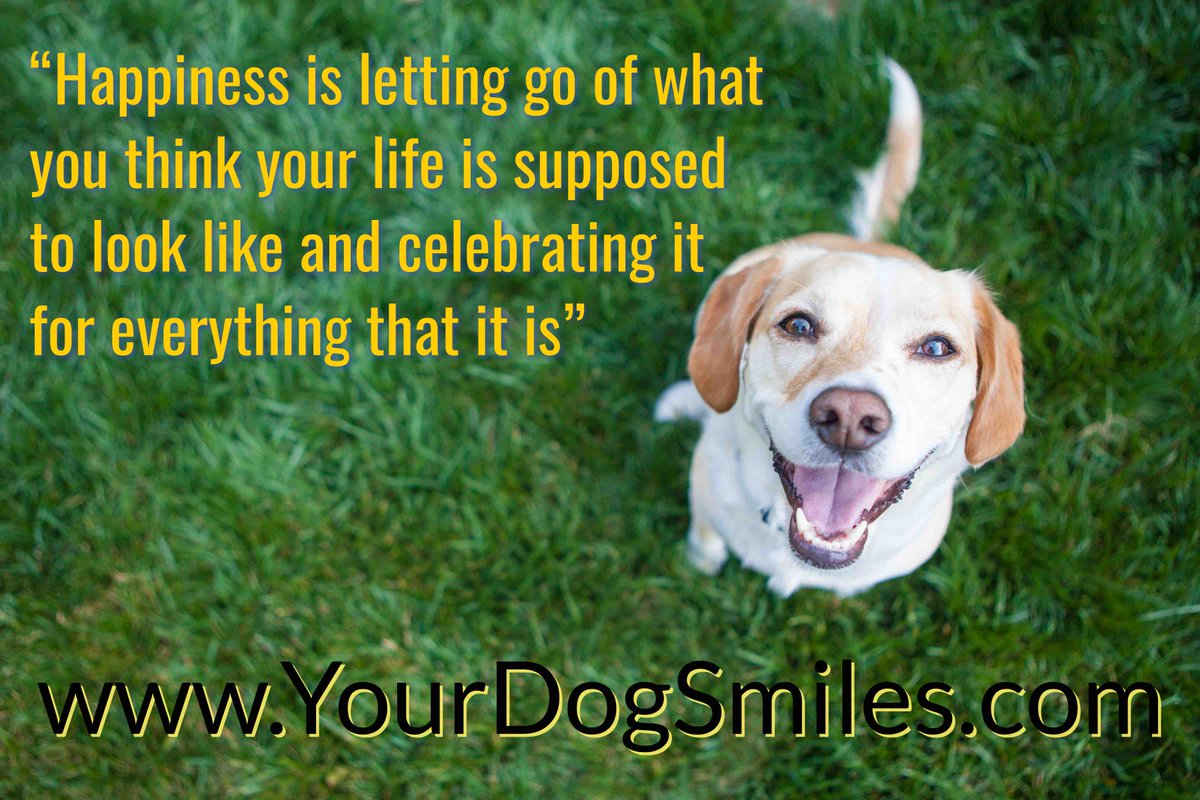 YourDogSmiles's tweet photo. “Happiness is letting go of what you think your life is supposed to look like and celebrating it for everything that it is”  #Happiness #PetSitters #Dogs #PetSitting #Leesburg #Sterling #Herndon #Aldie #PositiveEnergy #Positivity https://t.co/95wLuKGL2H