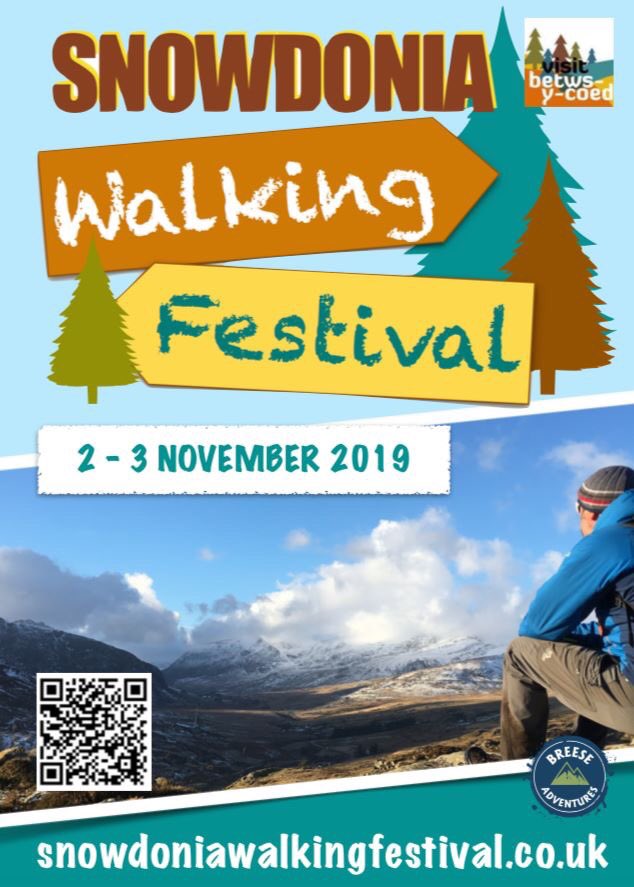 Tracey 🌻 tweet media