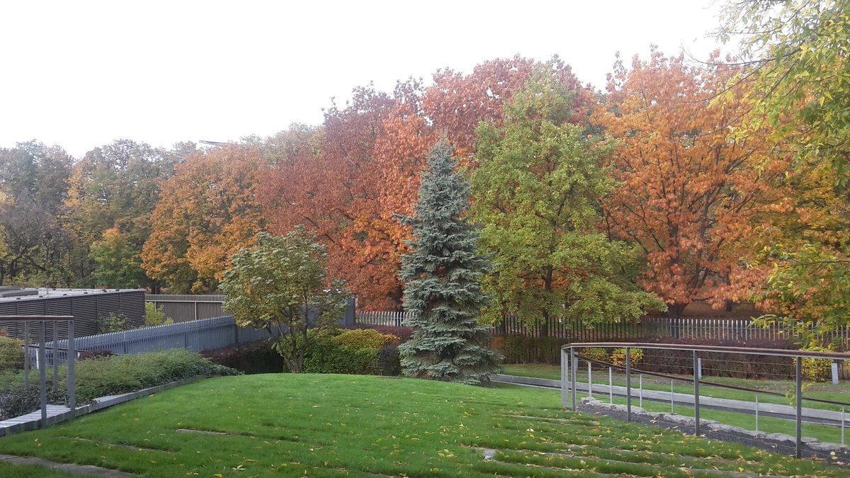 Rutger De Graaf tweet media